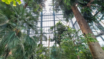 Latvijas Universitātes Botāniskā dārza Palmu māja atklāta