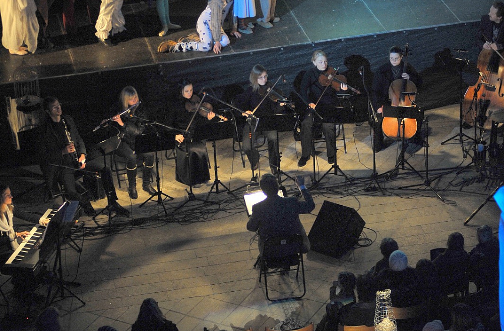 gailis zilo putnu meklējot