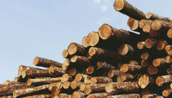 Meža produkcijas imports un eksports strauji krīt