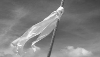 Политилог&#58; Элерте – белый флаг &quot;Единства&quot;