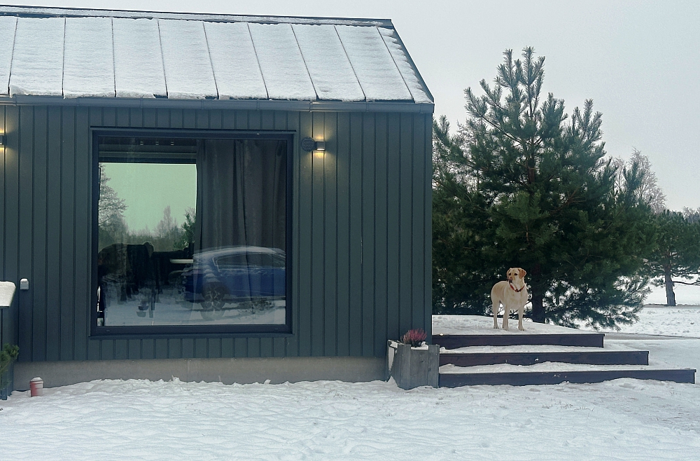 Jaunie tūrisma uzņēmēji mudina samazināt nodokļu slogu nozarei