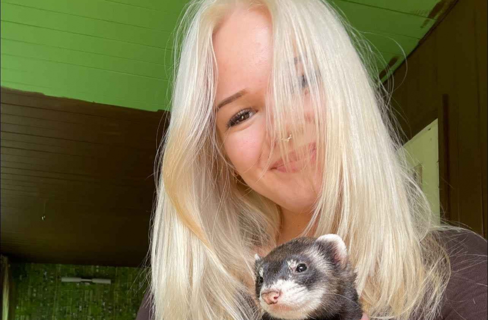 Iepazīstieties - mājas seski!