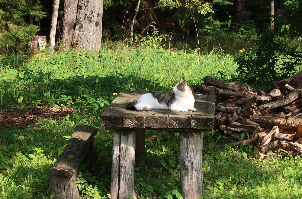 Bērzkalniņi, lauki, Julija Hansen, Chris Oram