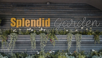 Audiovizuālās īsmetrāžas: Kino klasika "Splendid Garden" brīvdabas kino vakaros