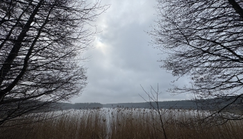 Saruna ar Dambi un mūzikas jaunumi 
