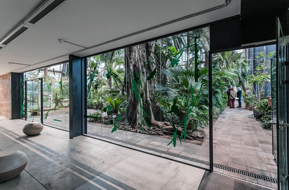 Palmu māja Botāniskais dārzs