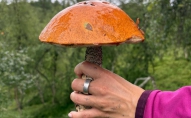 Ирина Букловская 