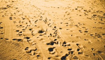Как песок сквозь пальцы... А что такое песок?