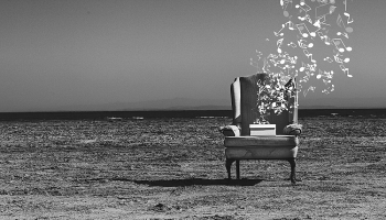 "Grēviņa kabinets" | #108