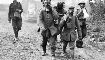 Pirmais pasaules karš: Pozīciju kara sākums Rietumu frontē