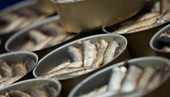 Liepājas zivju pārstrādes uzņēmums «Kolumbija» meklē jaunus tirgus