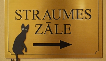 "Straumes" komanda piedāvā filmu seansu ciklu "Visas filmas par kaķiem"