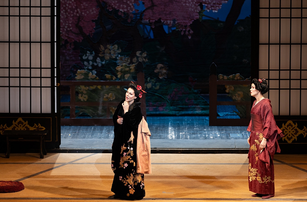 madama butterfly