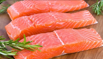 Salaca, Gauja un Venta - lielākās lašupes Latvijā!