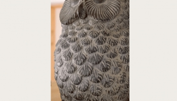 Dūjas. Dzejas lasijums