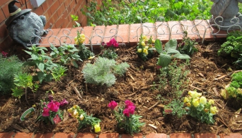 Dārza augsne - nevajag pārcensties ar kaļķošanu un mēslošanu pavasarī!