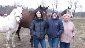 Vienas ģimenes trīs paaudžu zirgkopes Cenu pagastā audzē 82 zirgus un 10 ponijus