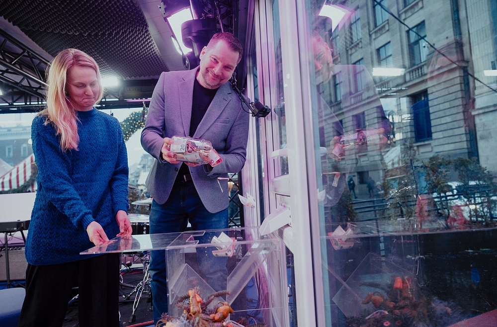 Oskars Erdmanis, Austra Stupele, Dod pieci, Valsts kontrole