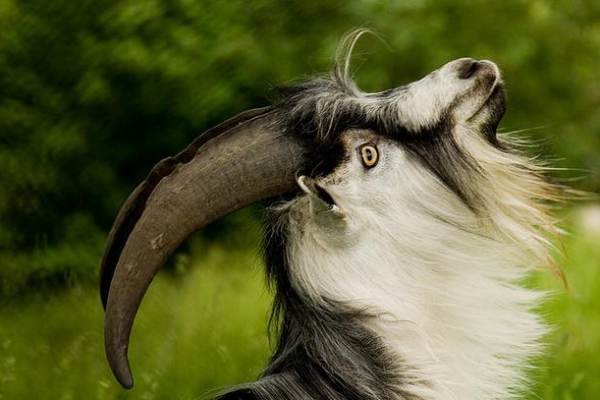 Labu nakti - pasakas