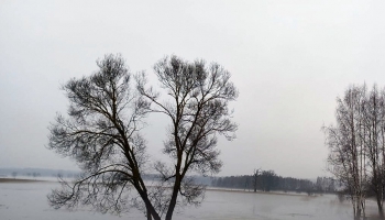 Atbūda - piektais gadalaiks Dvietes palienās Latvijā