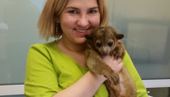 Rīgas Zoo veterinārārste Inga Birne: Ārstējot dzīvniekus, vajag izturību un pārliecību
