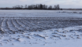 Gada noslēguma raidījumā vēlreiz tiekamies ar saimniekiem no Latvijas novadiem