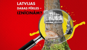 #193 Latvijas dabas pērles – izcirtīsim vecos mežus, kamēr politiķi lemj par to sargāšanu?