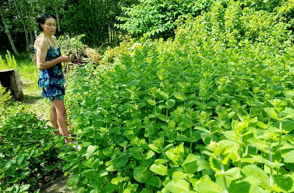 Жанна Вагале