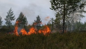 Visā Latvijas teritorijā sākas meža ugunsnedrošais laikposms
