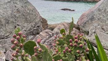 CFMB#396 - Ziema Skan