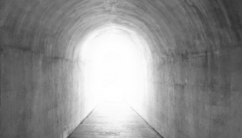 Jaunumu apskats. sofi, VECĀ DRUKA, HLAD, +K+M+B un Viņpasaule