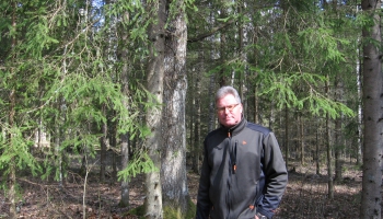 Juris Ozoliņš Trikātā rūpējas par 500 hektāriem meža