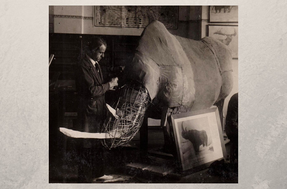 vai zini spalvainais degunradzis