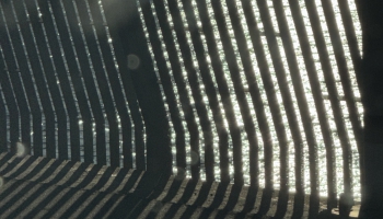 Septiņpadsmit skaņdarbu pieraksti no novembra. Stunda kopā ar Reini Semēvicu