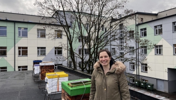 "Apsegt" bites – Latvijas pētnieki rada pret temperatūras svārstībām noturīgus stropus