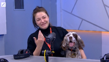 “У каждой собаки есть хозяин, надо только его найти” - глава организации “Дай лапу”