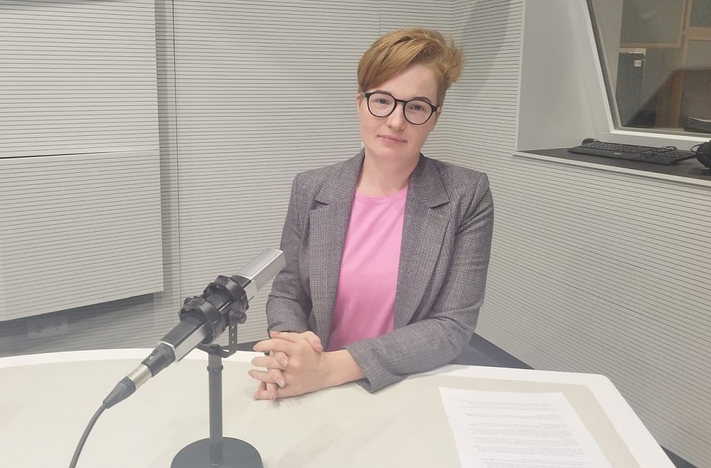 "Rail Baltica" sliežu ceļa izbūvei līdzekļus meklēs privātajā un publiskajā partnerībā