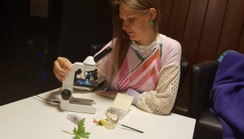 Кровь, мёд и... микроскоп: мастер-класс Кристины Кутеповой