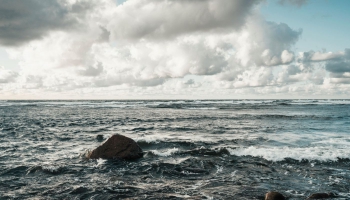 Biologi pēta, kā aļģes un gliemenes varētu palīdzēt uzlabot ūdens kvalitāti jūrā