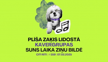 #359 | Plīša zaķis lidostā, Kavergrupas, Suns laika ziņu bildē