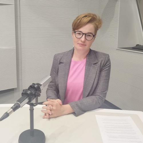 "Rail Baltica" sliežu ceļa izbūvei līdzekļus meklēs privātajā un publiskajā partnerībā