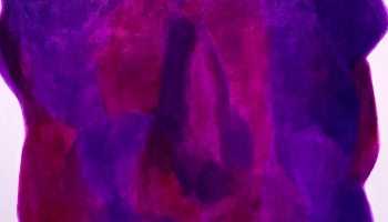 Vai rozes ir ironija? Pirms jaunās izstādes atklāšanas tiekamies ar Helēnu Heinrihsoni