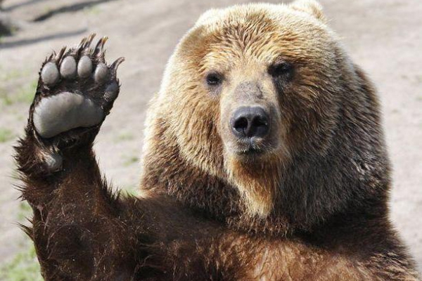 Labu nakti - pasakas