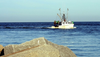 ES noteikusi nākamā gada zvejas kvotas – Latvijai mazāks nozvejas apjoms nekā domāts