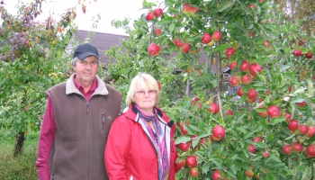 Vizma un Guntis Puteņi Kocēnu "Jaunbrēmelēs" 7 hektāros audzē 30 ābeļu šķirnes
