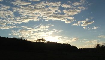 CFMB#386 - Vasara Skan