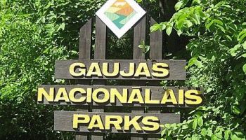 Gaujas nacionālajā parkā vēlas atjaunot meža biotopus