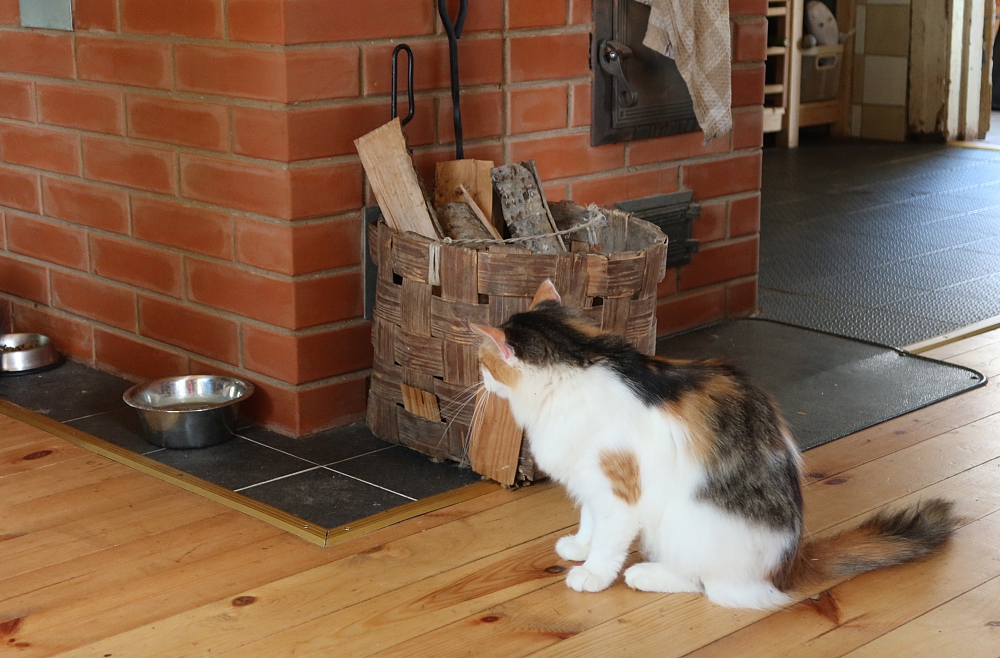 Monta Vecozola, dzīve laukos