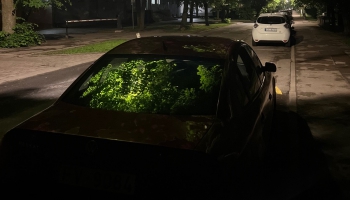 Netīrie trotuāri. Stunda kopā ar Rūdolfu Dankfeldu