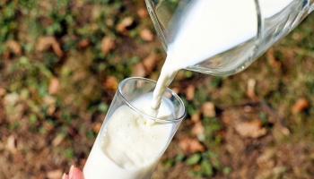 Роль молочных продуктов в профилактике остеопороза